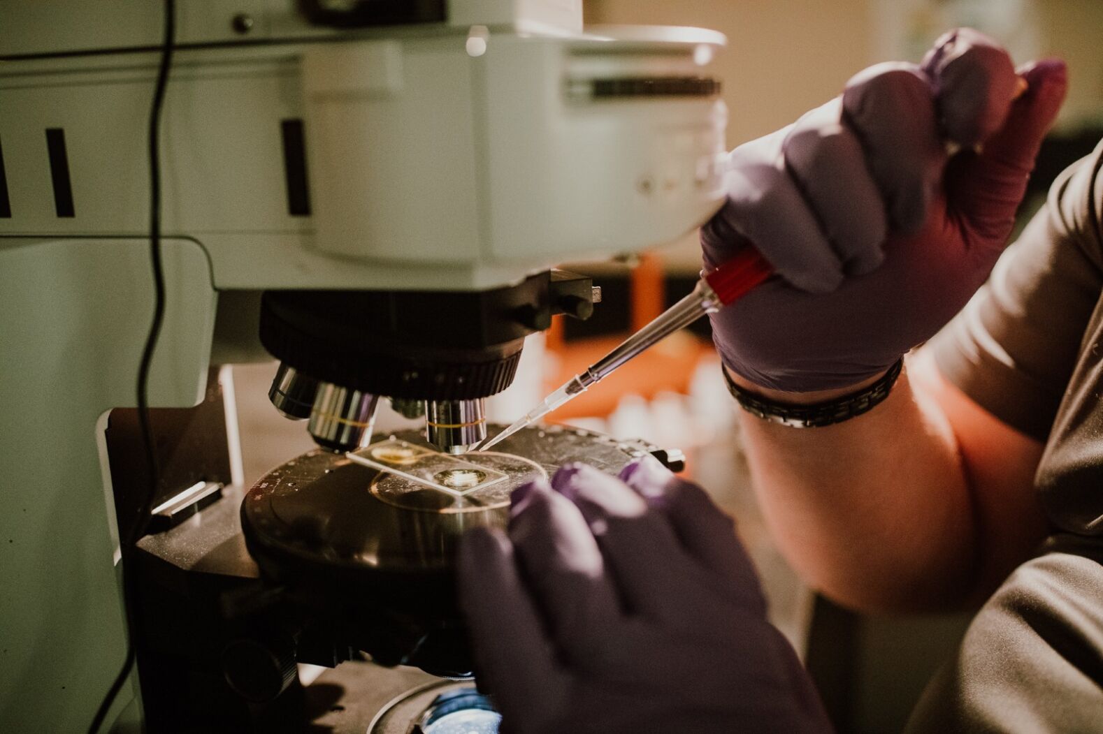 A lab technician drops a liquid onto a microscope slide